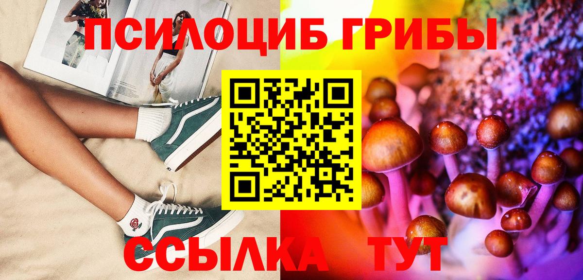 Псилоцибиновые грибы мухоморы  сколько стоит  Шахты  Вход с VPN 