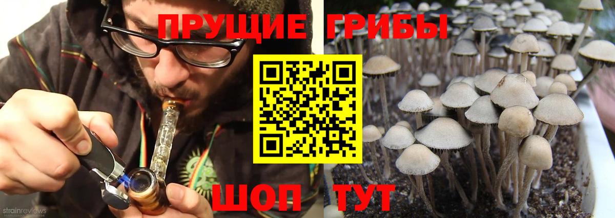 Галлюциногенные грибы ЛСД Шахты